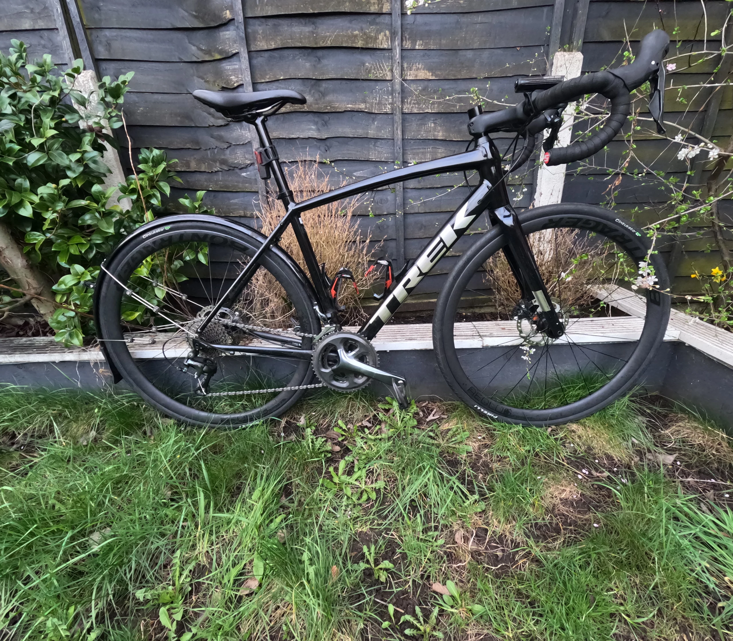 Black Trek Domane AL4 bike in garden setting