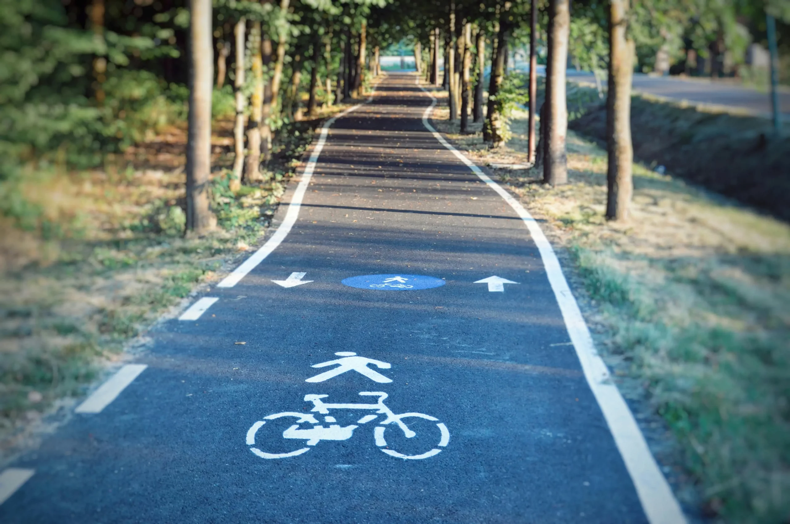 A blue cycle path winding through a forest